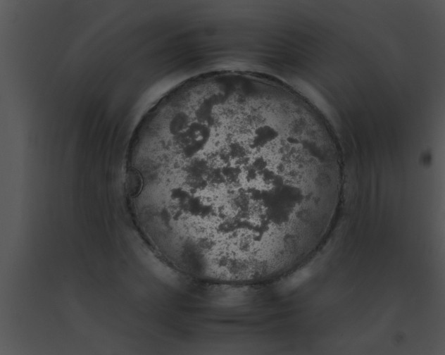 X0000091550831200708311352