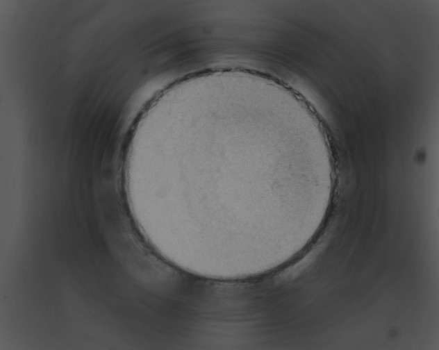 X0000091550832200708311352