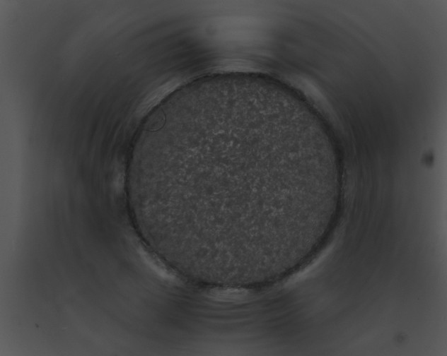 X0000091550833200708311352