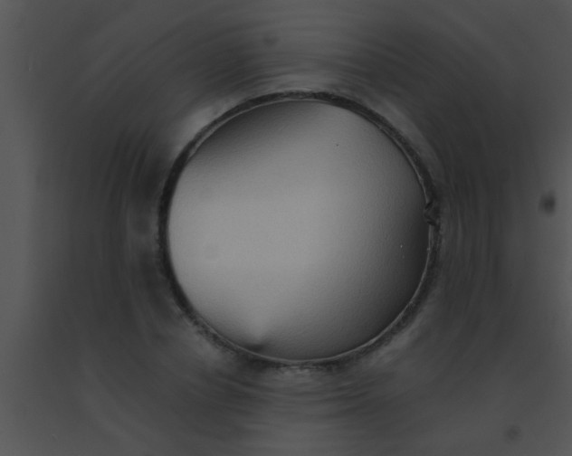 X0000091550834200708311352