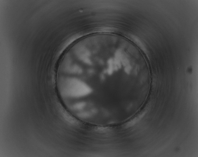 X0000091550835200708311352