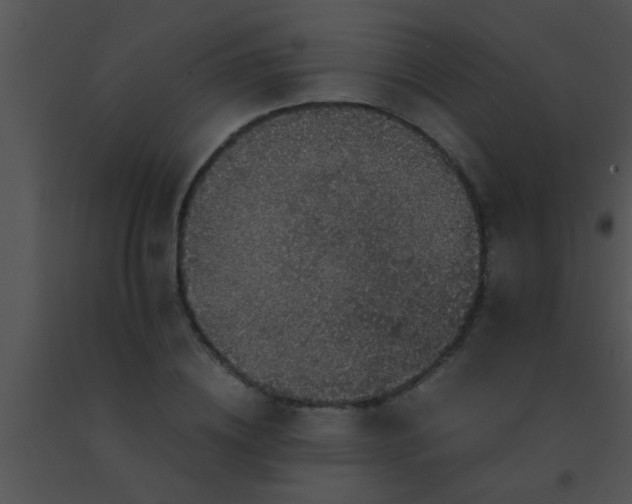 X0000091550836200708311352