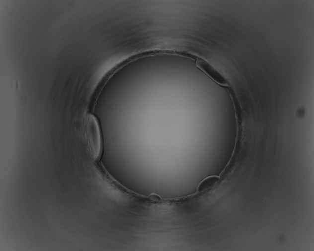 X0000091550838200708311352
