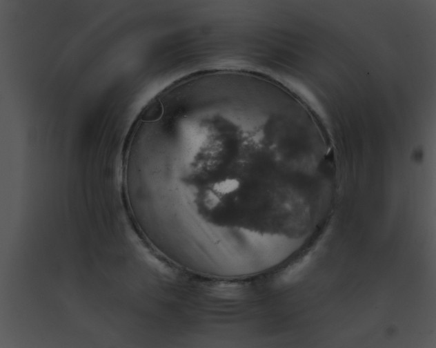 X0000091550839200708311352