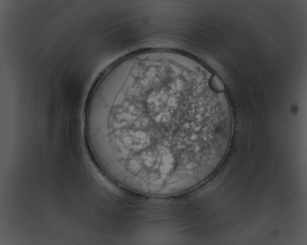 X0000091550840200708311352