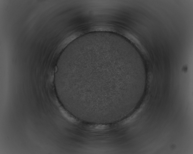 X0000091550841200708311352