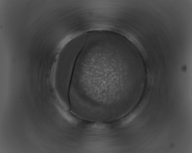 X0000091550842200708311352