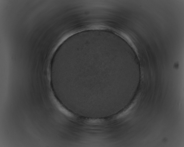 X0000091550843200708311352