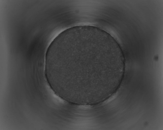 X0000091550844200708311352