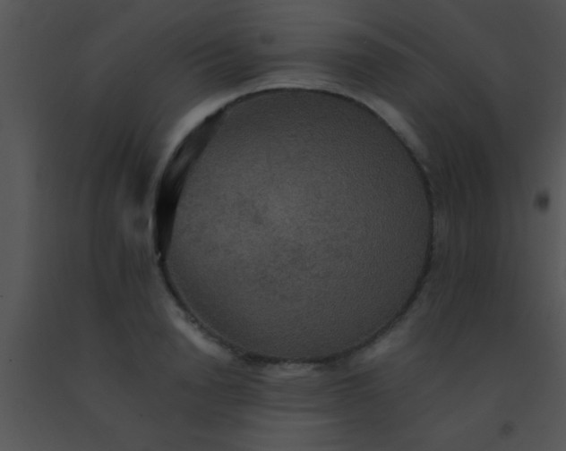 X0000091550846200708311352