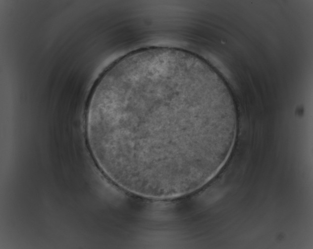 X0000091550848200708311352