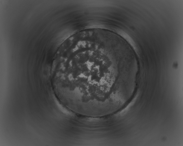 X0000091550849200708311352