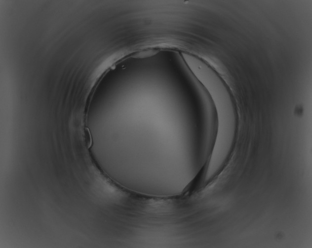 X0000091550850200708311352