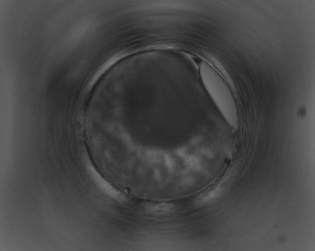 X0000091550851200708311352