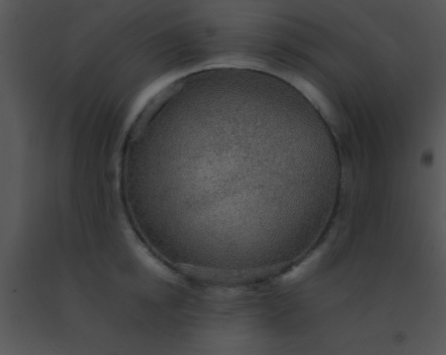 X0000091550854200708311352