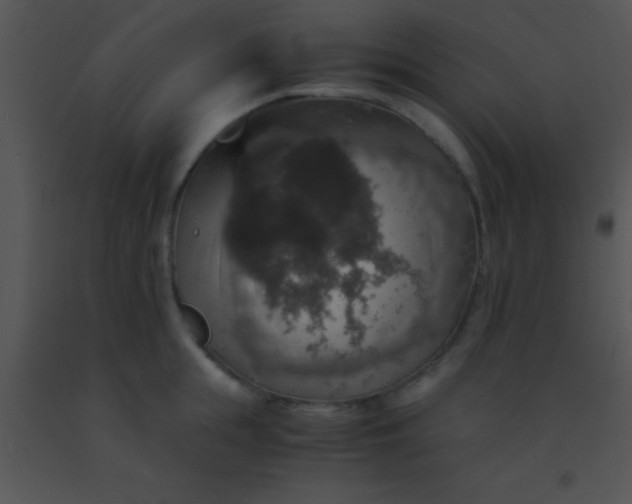 X0000091550855200708311352