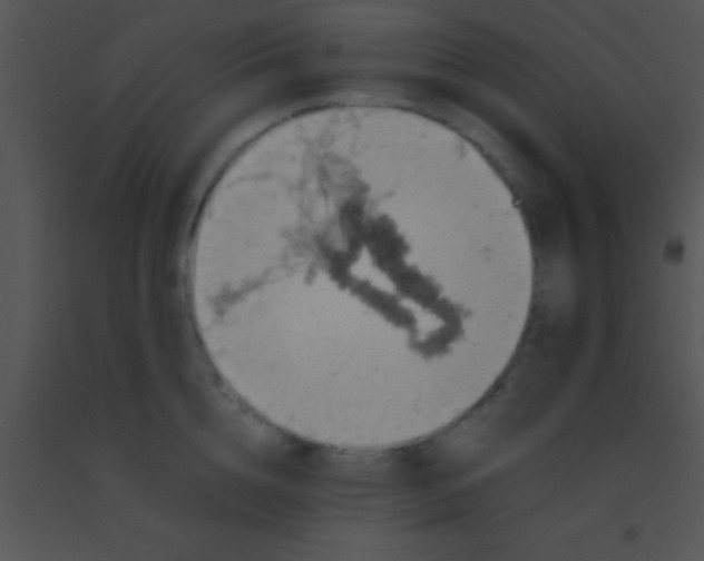 X0000091550856200708311352