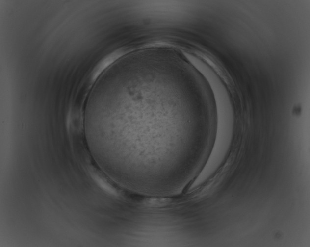 X0000091550858200708311352