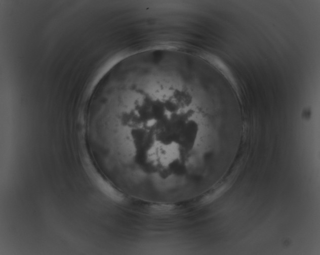 X0000091550859200708311352