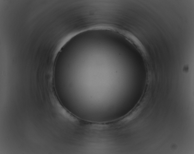 X0000091550860200708311353