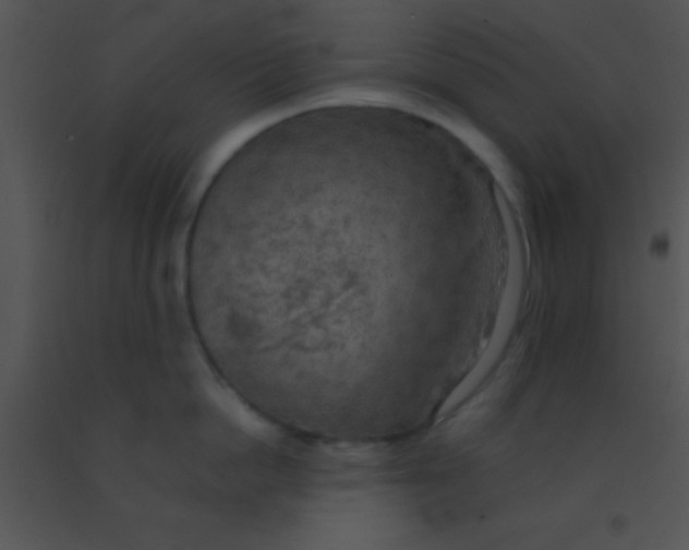 X0000091550862200708311353