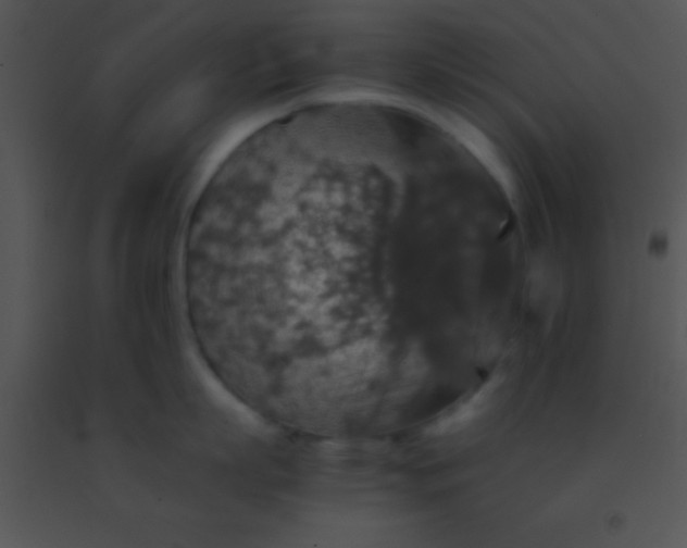 X0000091550863200708311353