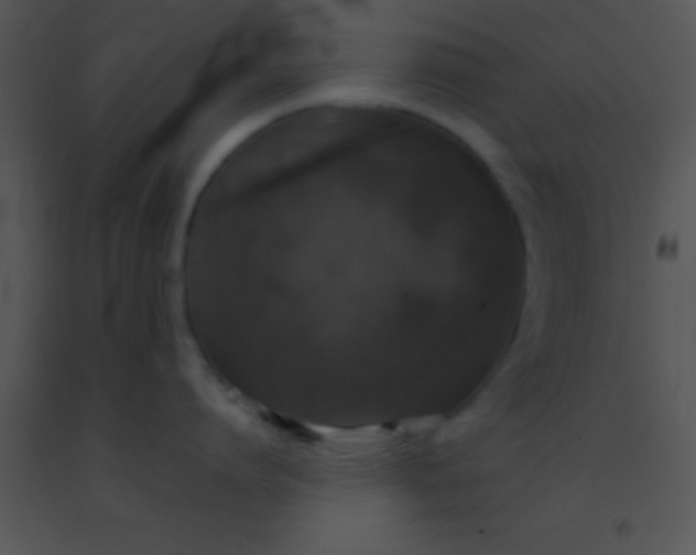 X0000091550864200708311353