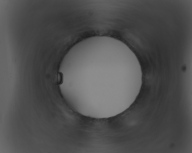 X0000091550865200708311352