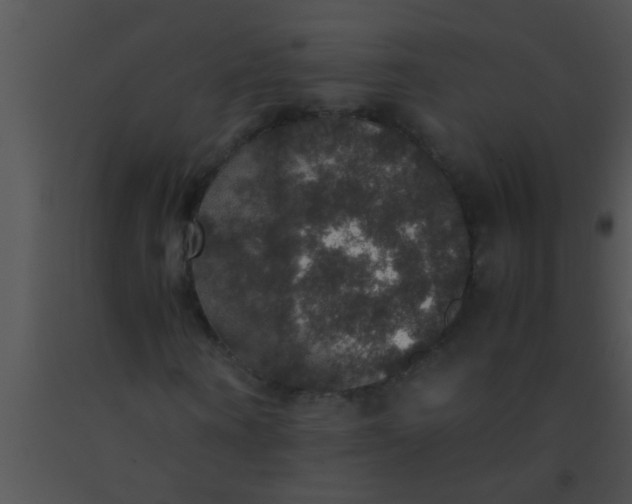 X0000091550866200708311352
