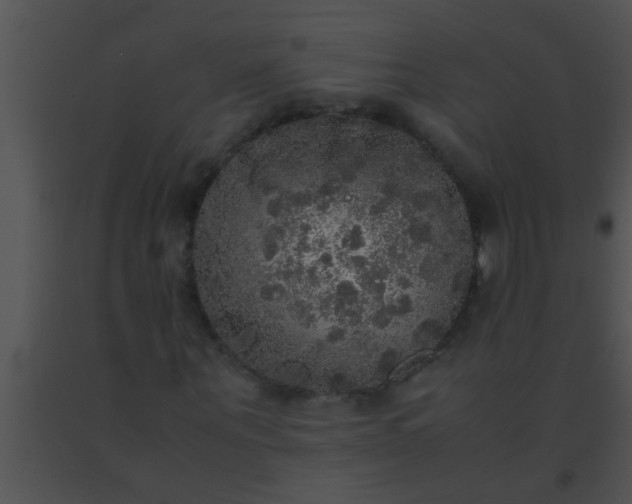 X0000091550867200708311352
