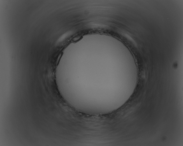 X0000091550869200708311352