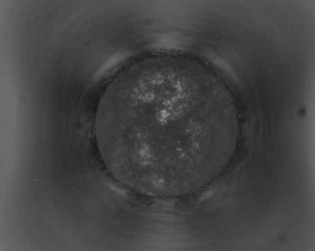 X0000091550870200708311352