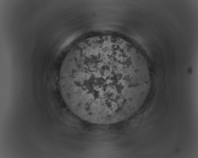 X0000091550871200708311352