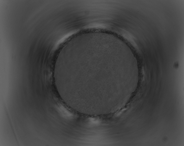 X0000091550872200708311352