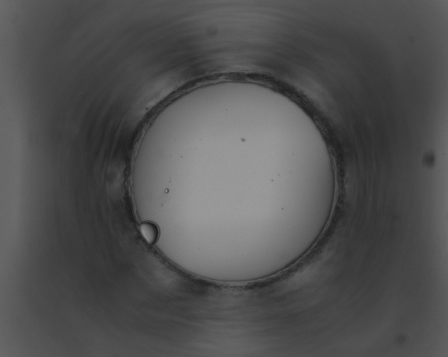 X0000091550873200708311352