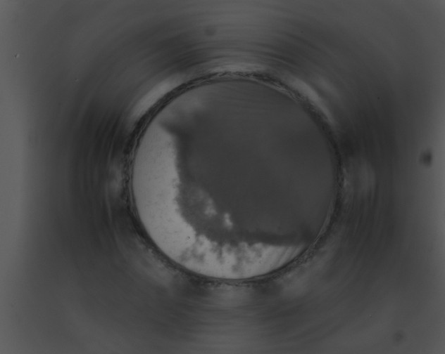 X0000091550874200708311352