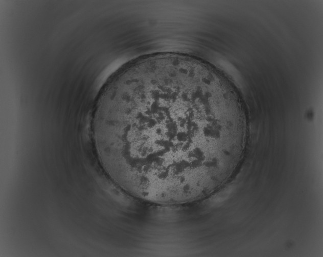 X0000091550875200708311352