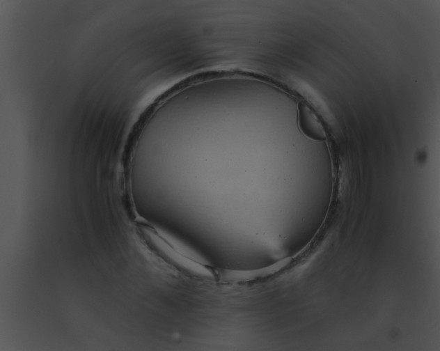 X0000091550876200708311352