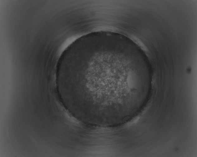 X0000091550877200708311352
