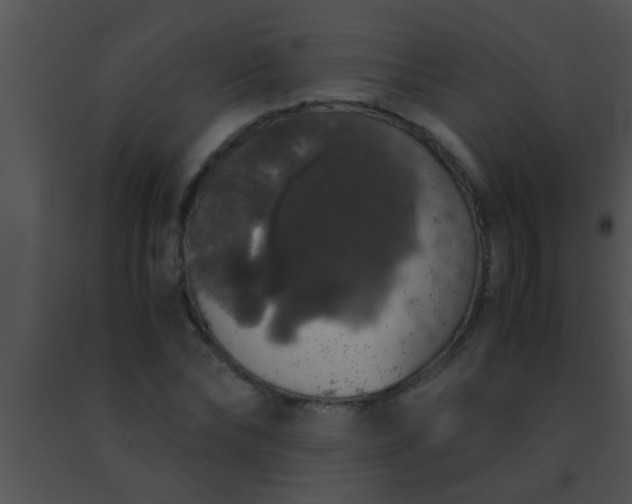 X0000091550878200708311352