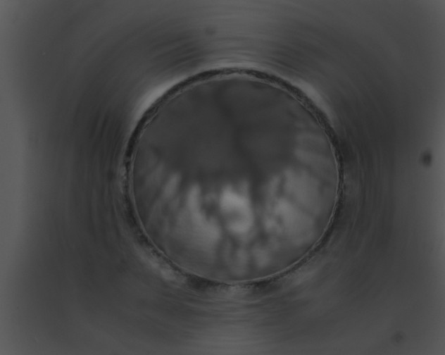 X0000091550879200708311352
