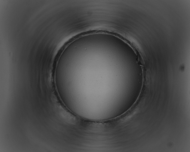 X0000091550880200708311352