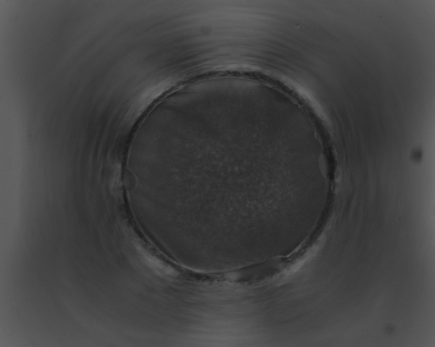 X0000091550881200708311352