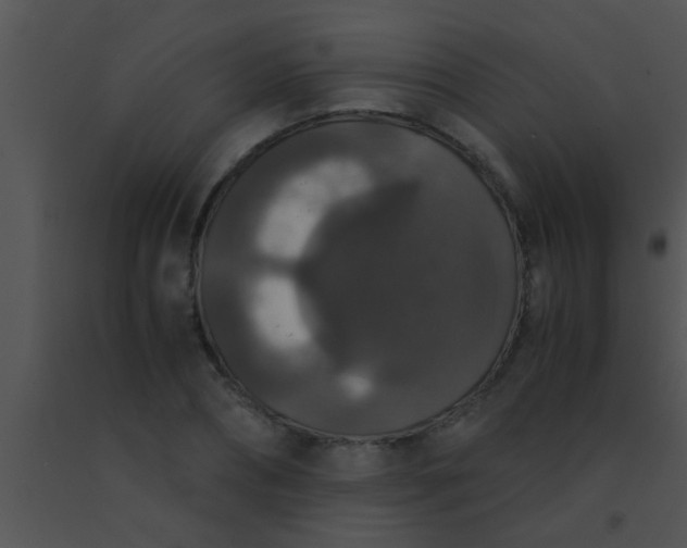 X0000091550882200708311352