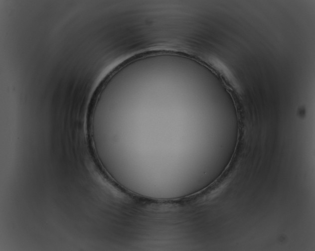 X0000091550884200708311352