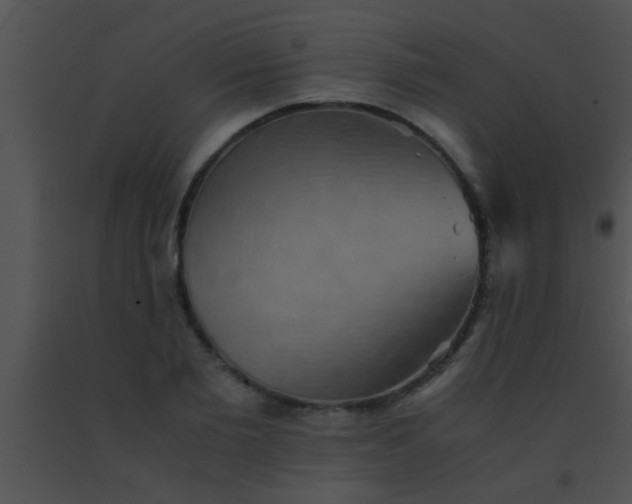 X0000091550885200708311352