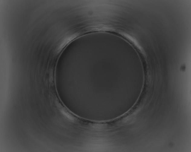 X0000091550889200708311352