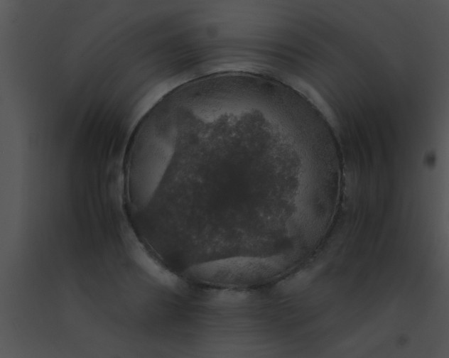 X0000091550890200708311352