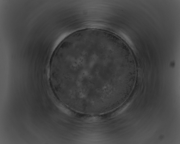 X0000091550891200708311352