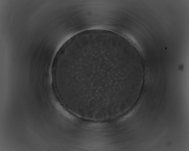 X0000091550892200708311352